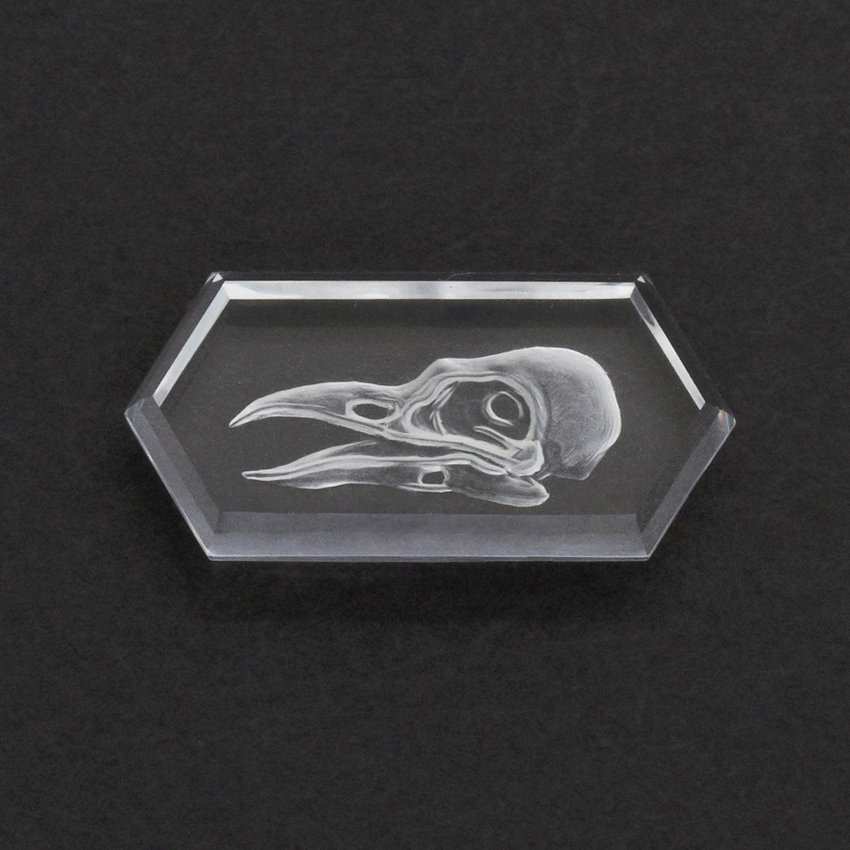 20x10mm Clear Quartz Elongated Hex Tablet Raven Skull Intaglio Carvin 20x10mm clear quartz elongated hex tablet raven skull intaglio carvin