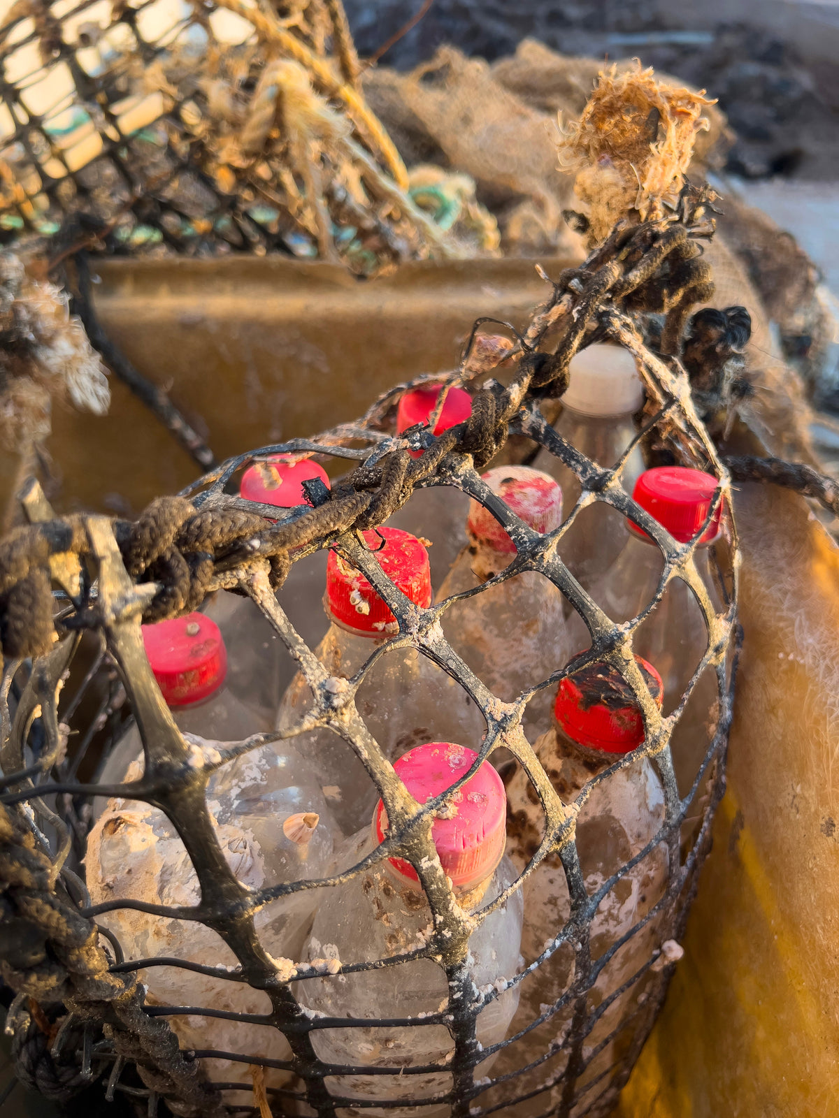 Keeping Waste Out of the Sea