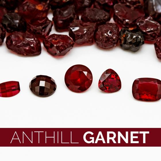 Anthill Garnet