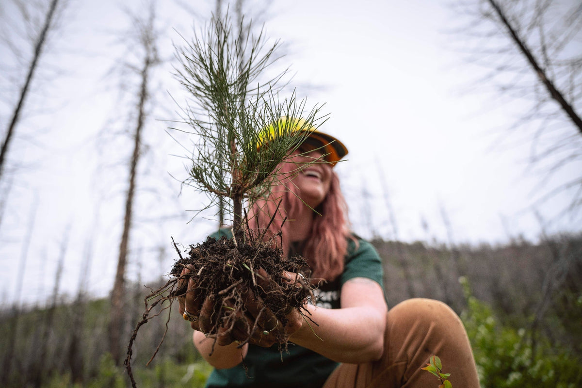 Rooted in Ethics - Our Shared Impact in 2024