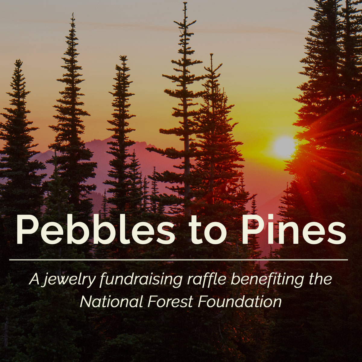 Annual Fundraiser Recipient Announced