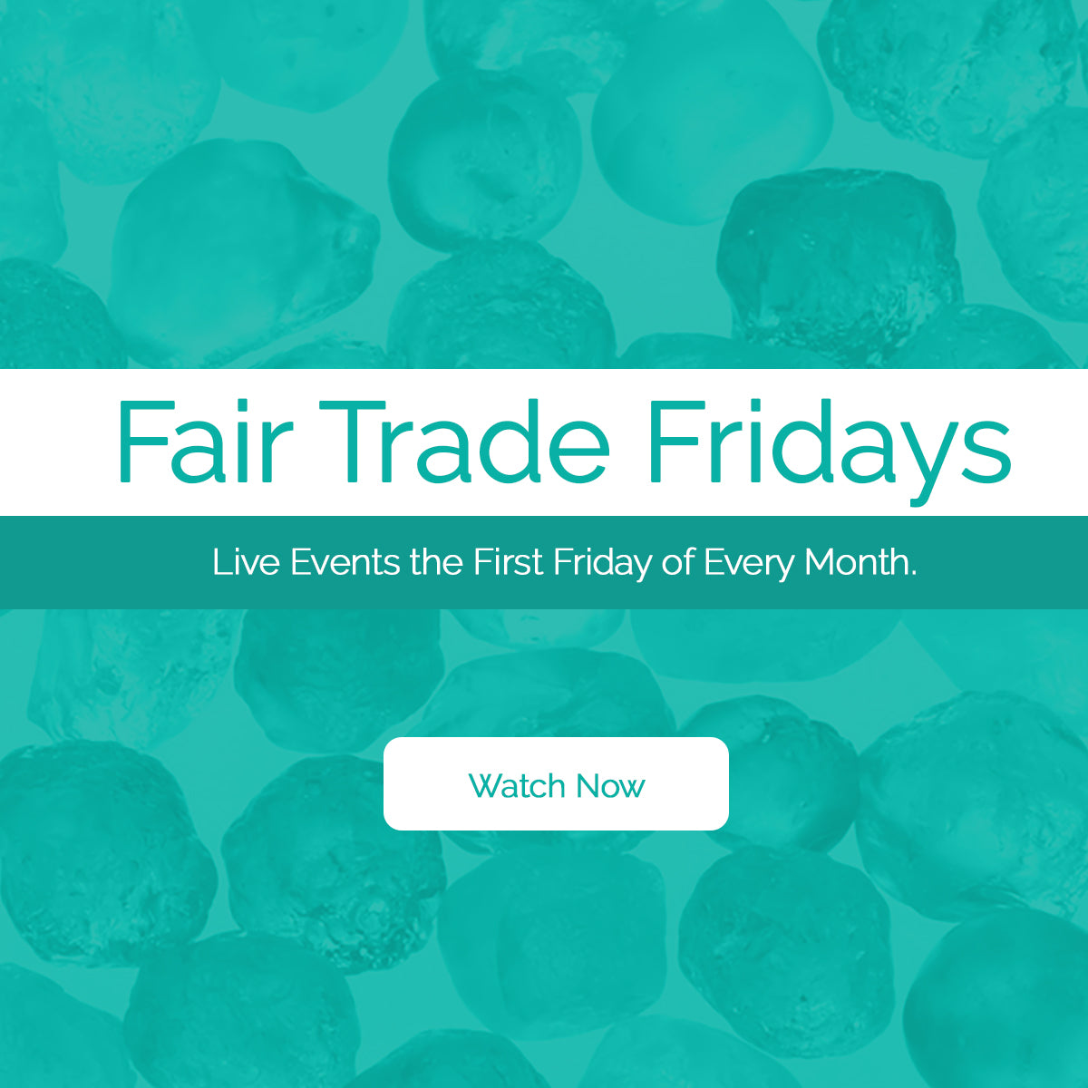 Fair Trade Fridays