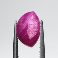 8.95ct Ruby Oval Star Cab