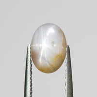 2.27ct Ceylon Sapphire Oval Star Cab