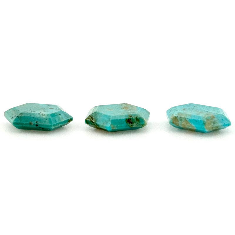 16x12mm Arizona Stabilized Turquoise Hex Tablets™