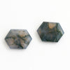 16x12mm Moss Agate Hex Tablets™