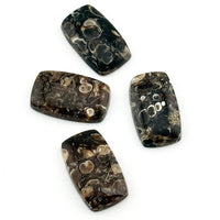 20x12 to 30x17mm Wyoming Turritella Agate Cushion Cabs