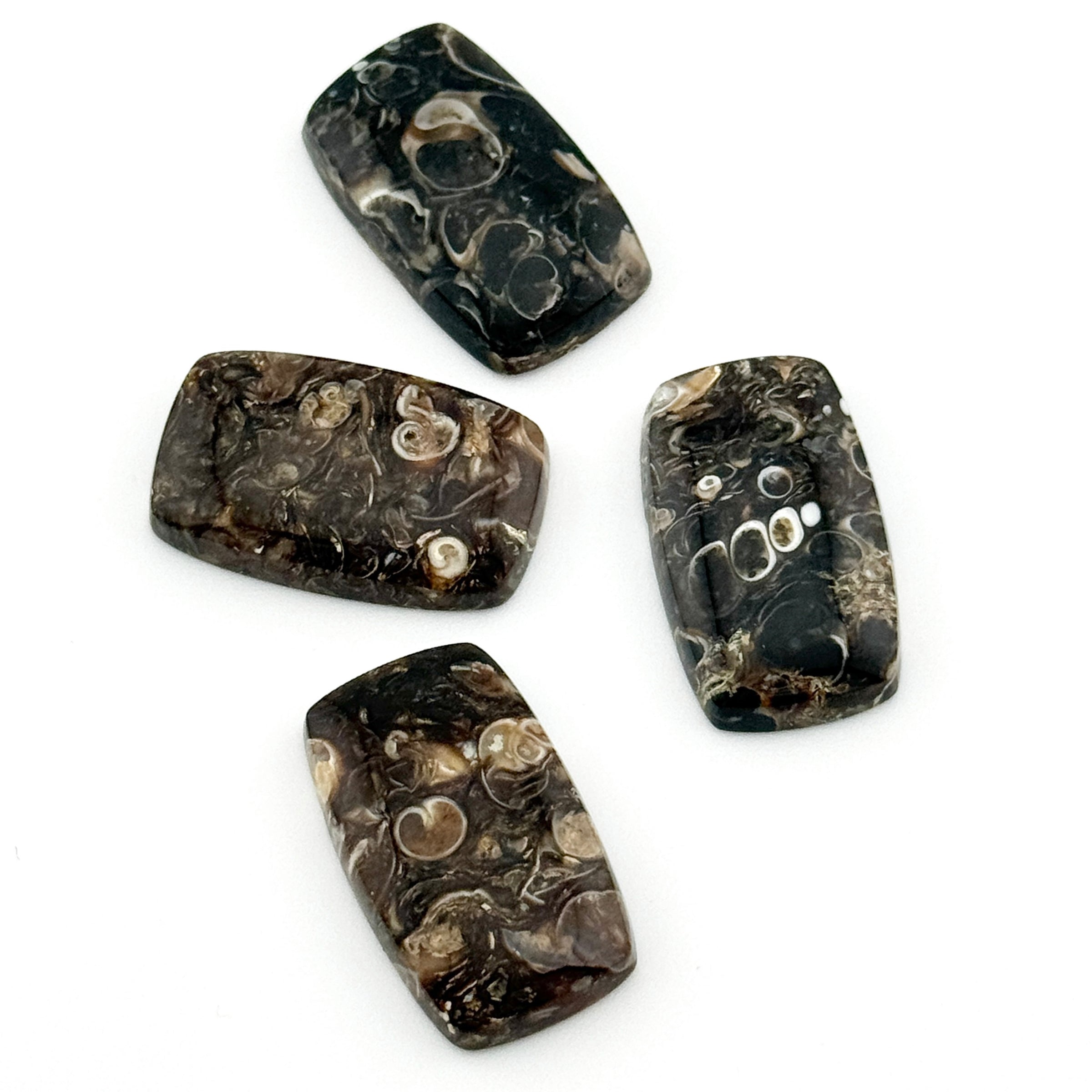 20x12 to 30x17mm Wyoming Turritella Agate Cushion Cabs