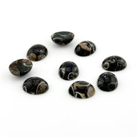 10x8 to 18x13mm Wyoming Turritella Agate Oval Cabs
