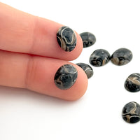 10x8 to 18x13mm Wyoming Turritella Agate Oval Cabs