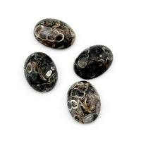 10x8 to 18x13mm Wyoming Turritella Agate Oval Cabs