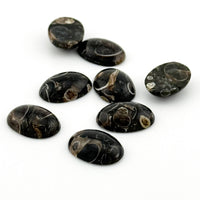 10x8 to 18x13mm Wyoming Turritella Agate Oval Cabs