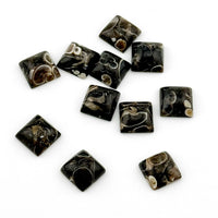 8 to 10mm Wyoming Turritella Agate Square Cabs