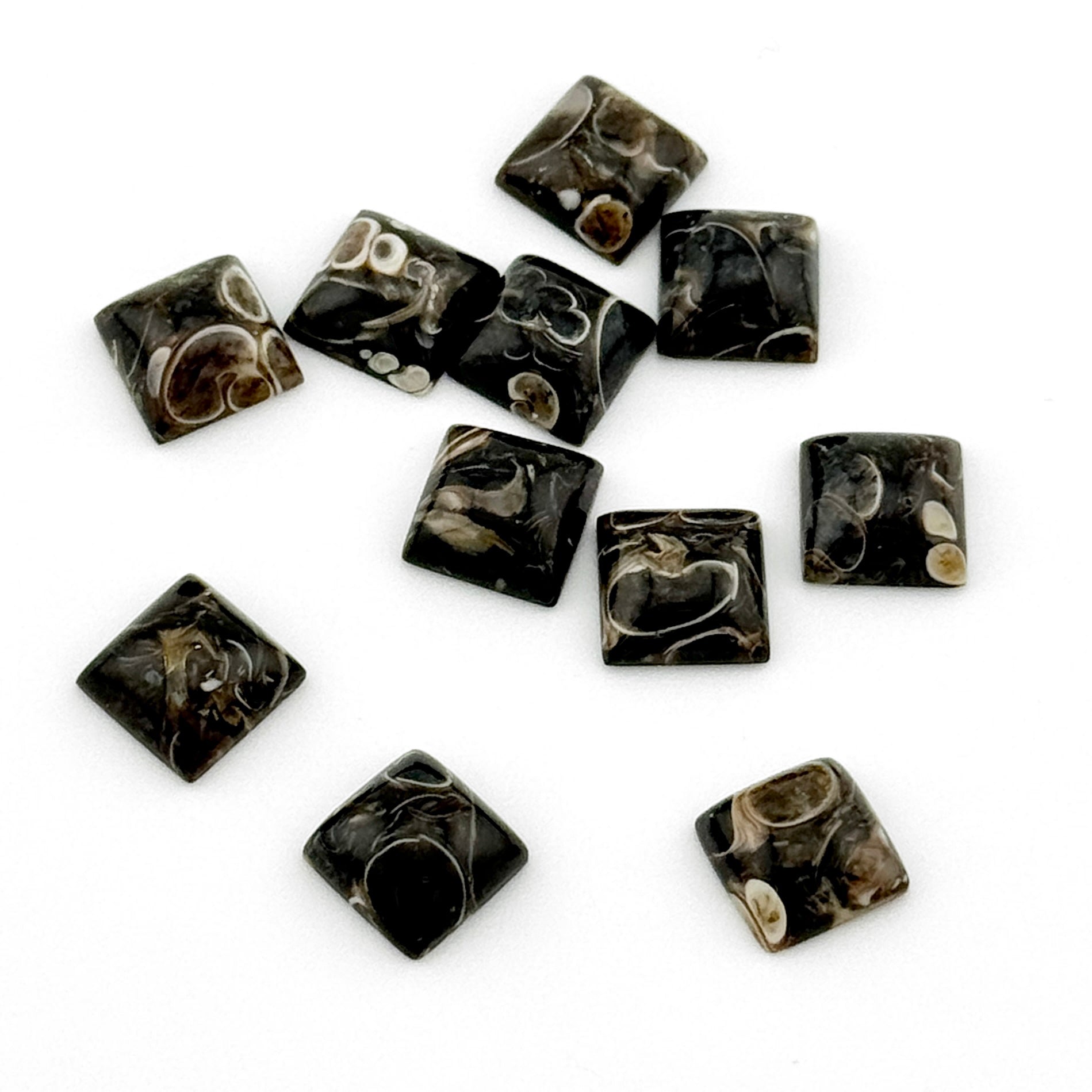 8 to 10mm Wyoming Turritella Agate Square Cabs