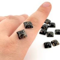 8 to 10mm Wyoming Turritella Agate Square Cabs