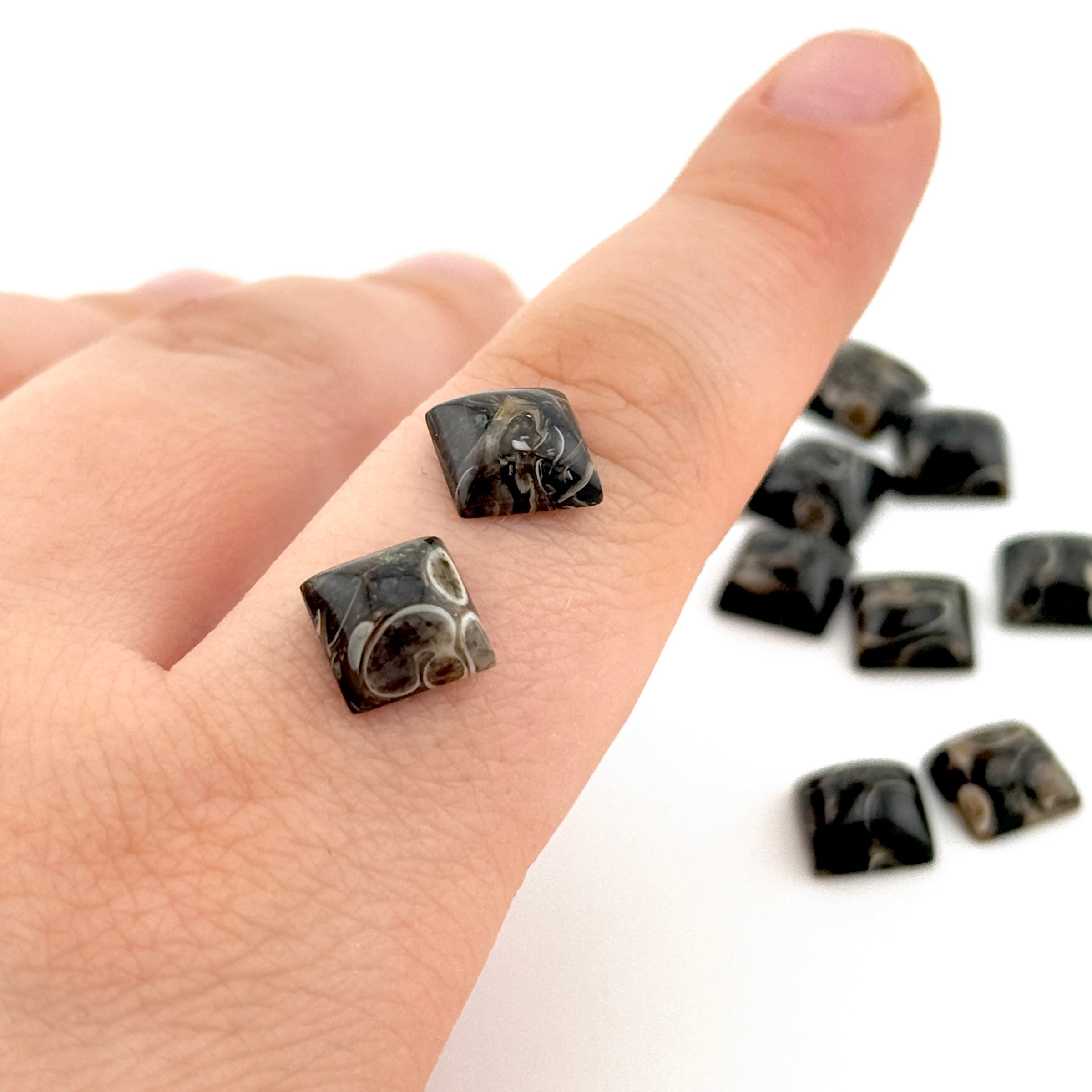 8 to 10mm Wyoming Turritella Agate Square Cabs