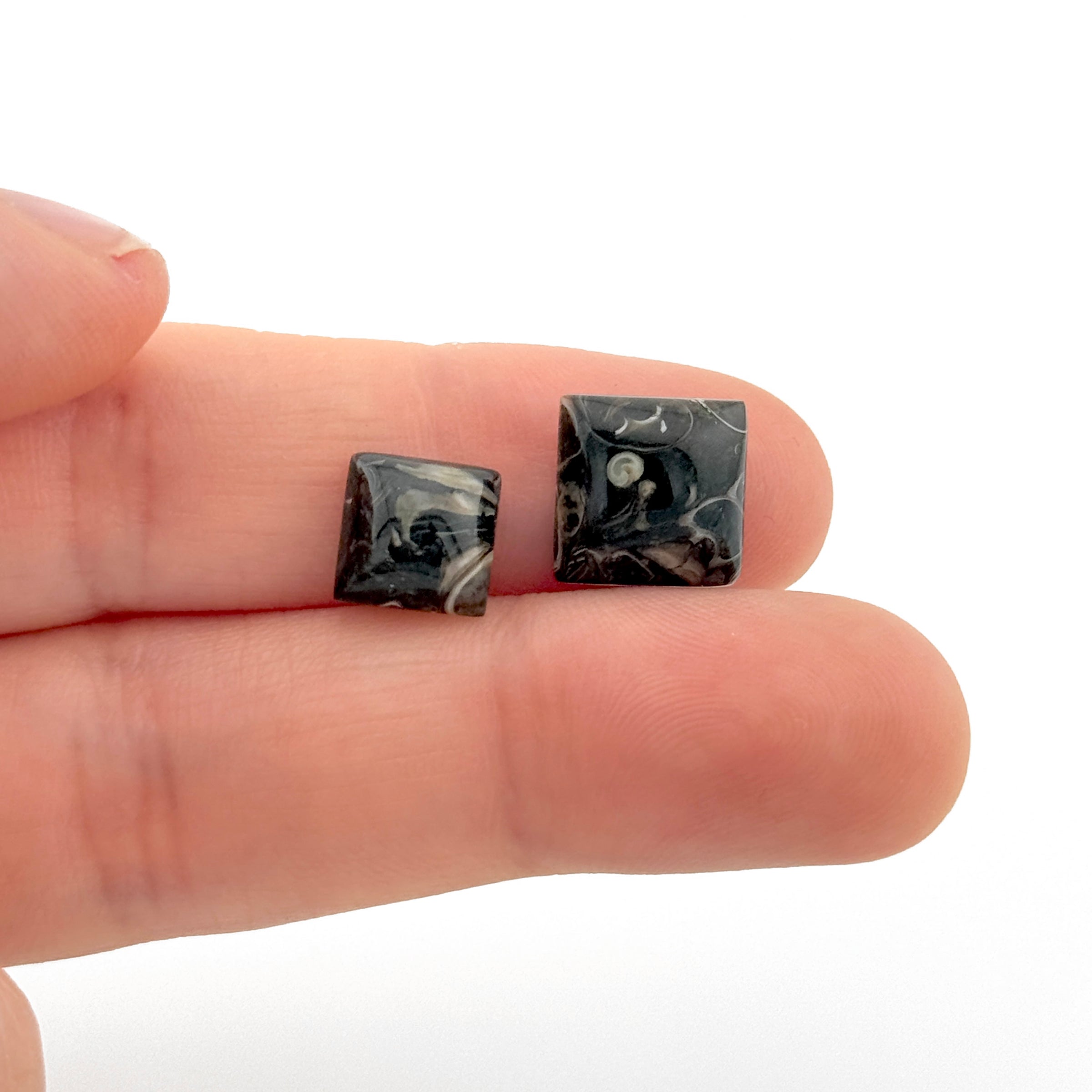 8 to 10mm Wyoming Turritella Agate Square Cabs