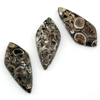 30x13mm Wyoming Turritella Agate Teardrop Cabs
