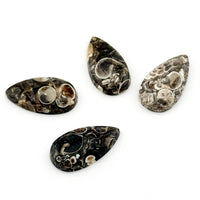 22x12 to 30x15mm Wyoming Turritella Agate Pear Cabs