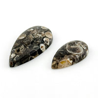 22x12 to 30x15mm Wyoming Turritella Agate Pear Cabs