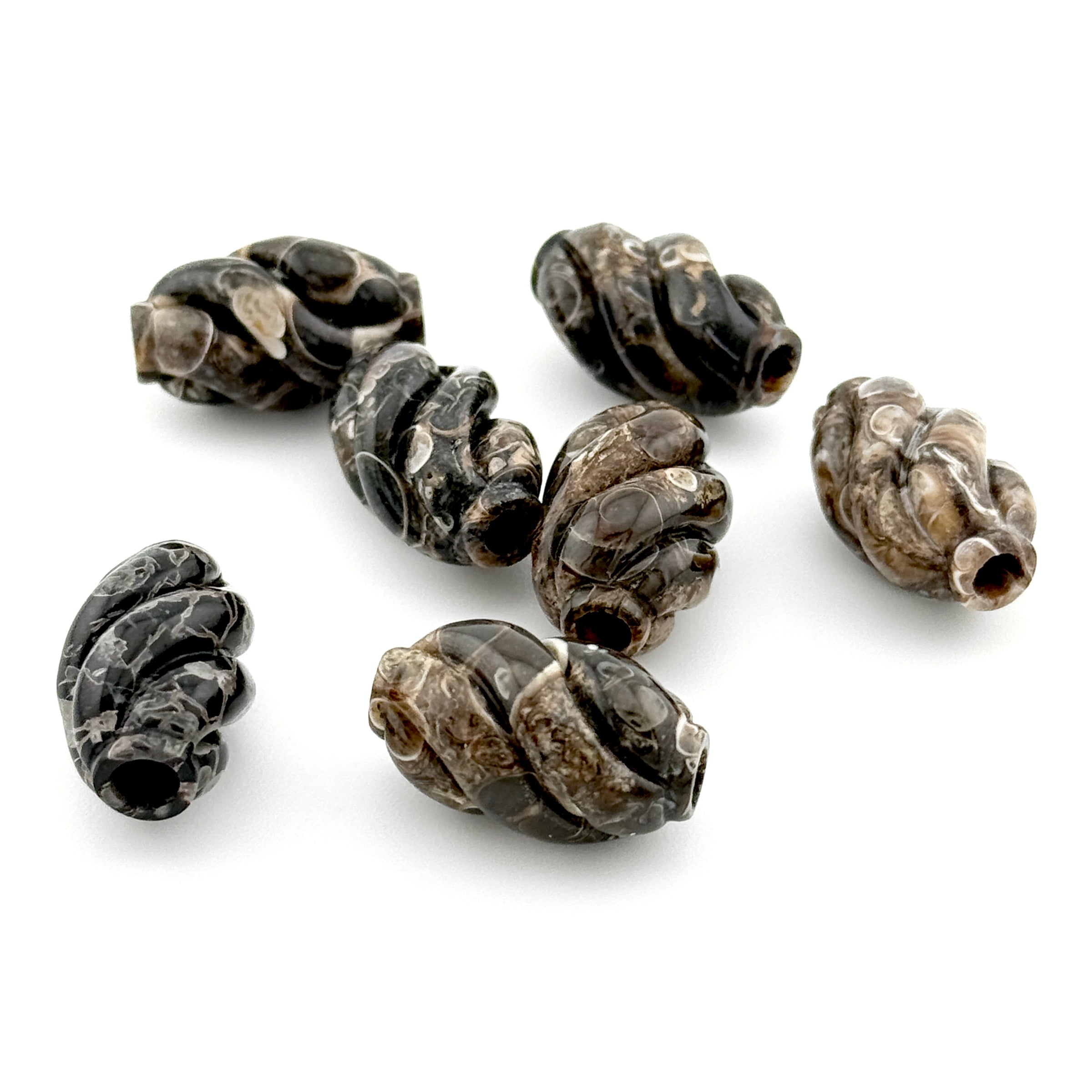 20x12mm Wyoming Turritella Agate Carved Spiral Beads