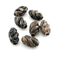 20x12mm Wyoming Turritella Agate Carved Spiral Beads