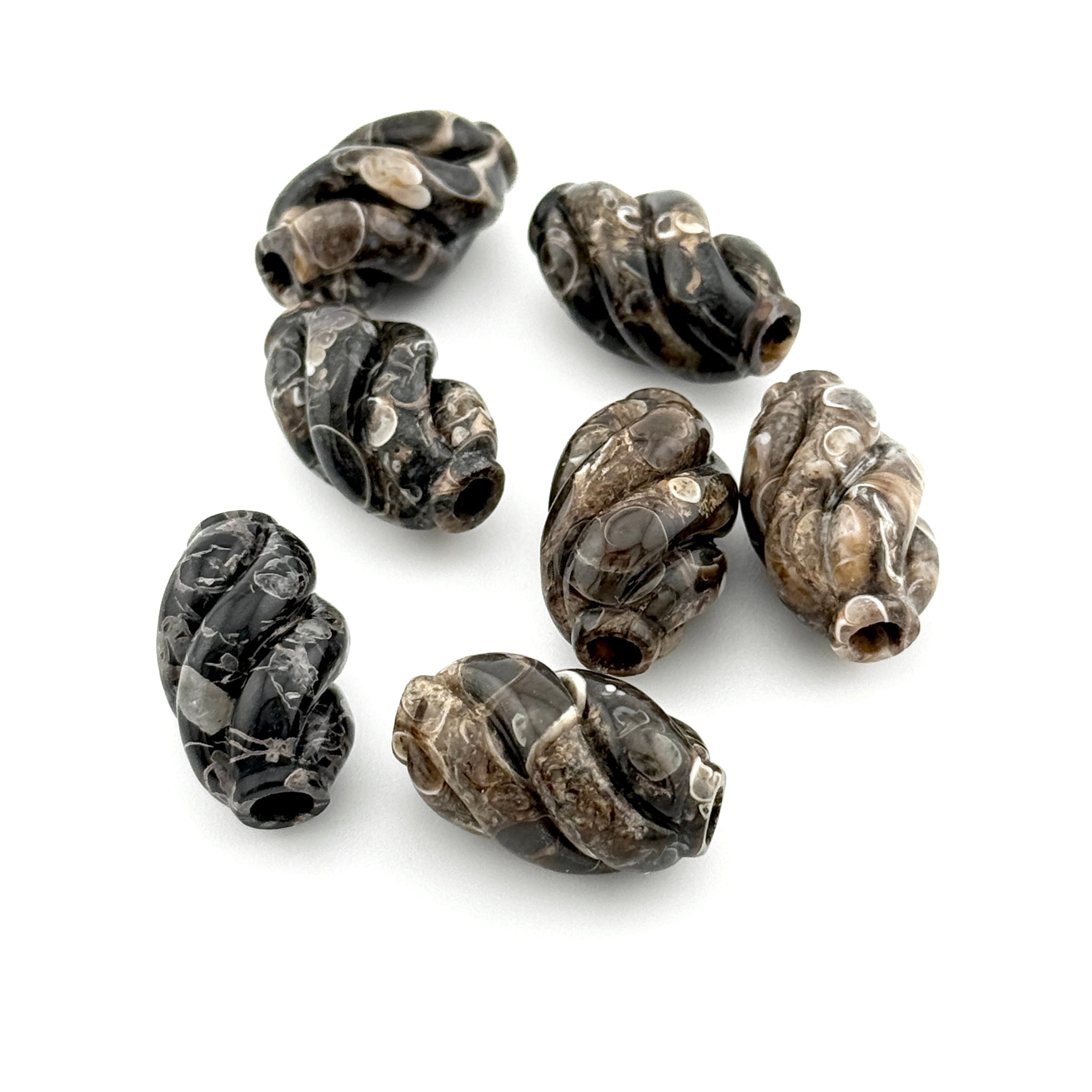 20x12mm Wyoming Turritella Agate Carved Spiral Beads