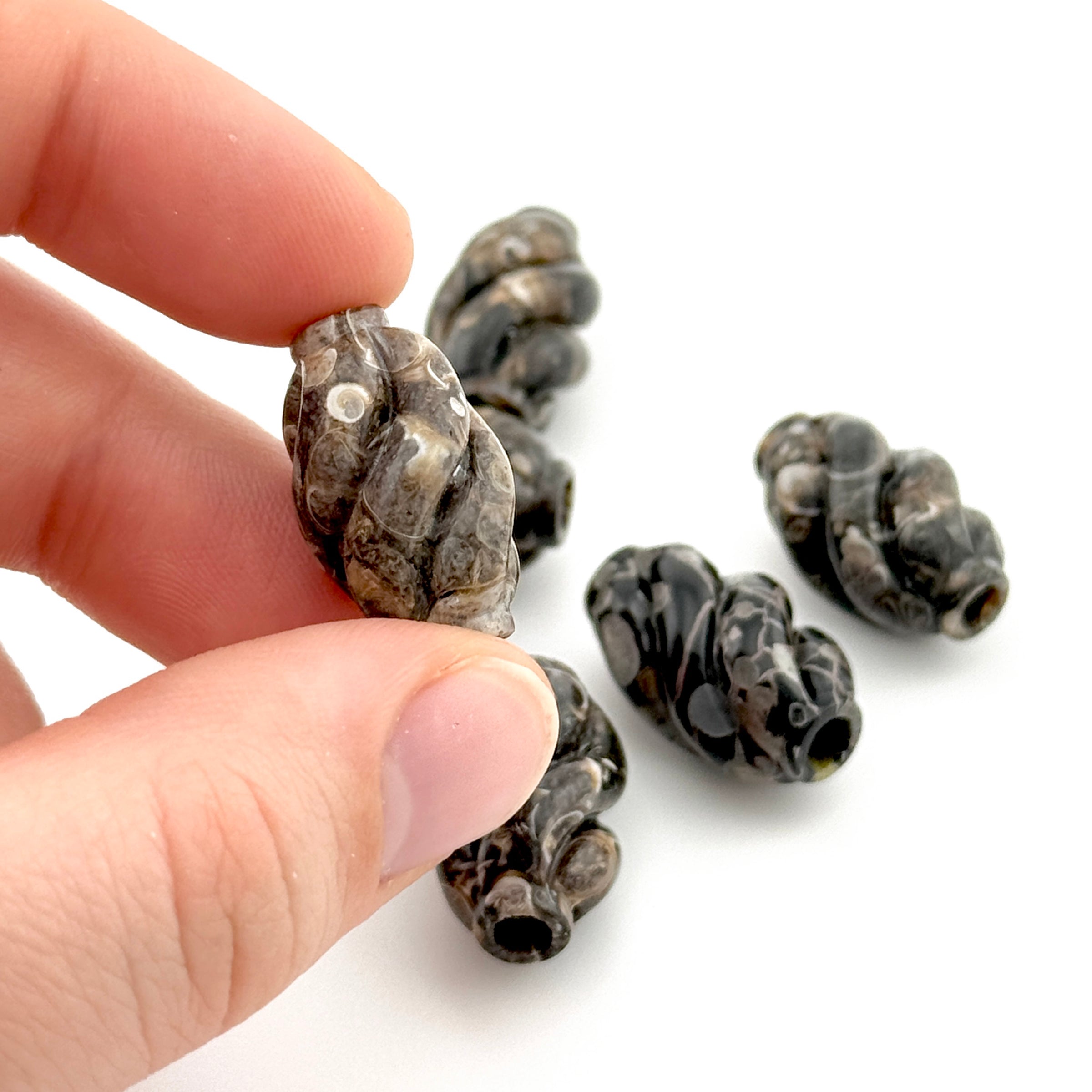 20x12mm Wyoming Turritella Agate Carved Spiral Beads