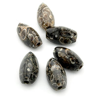 20x12mm Wyoming Turritella Agate Coffee Bean Beads