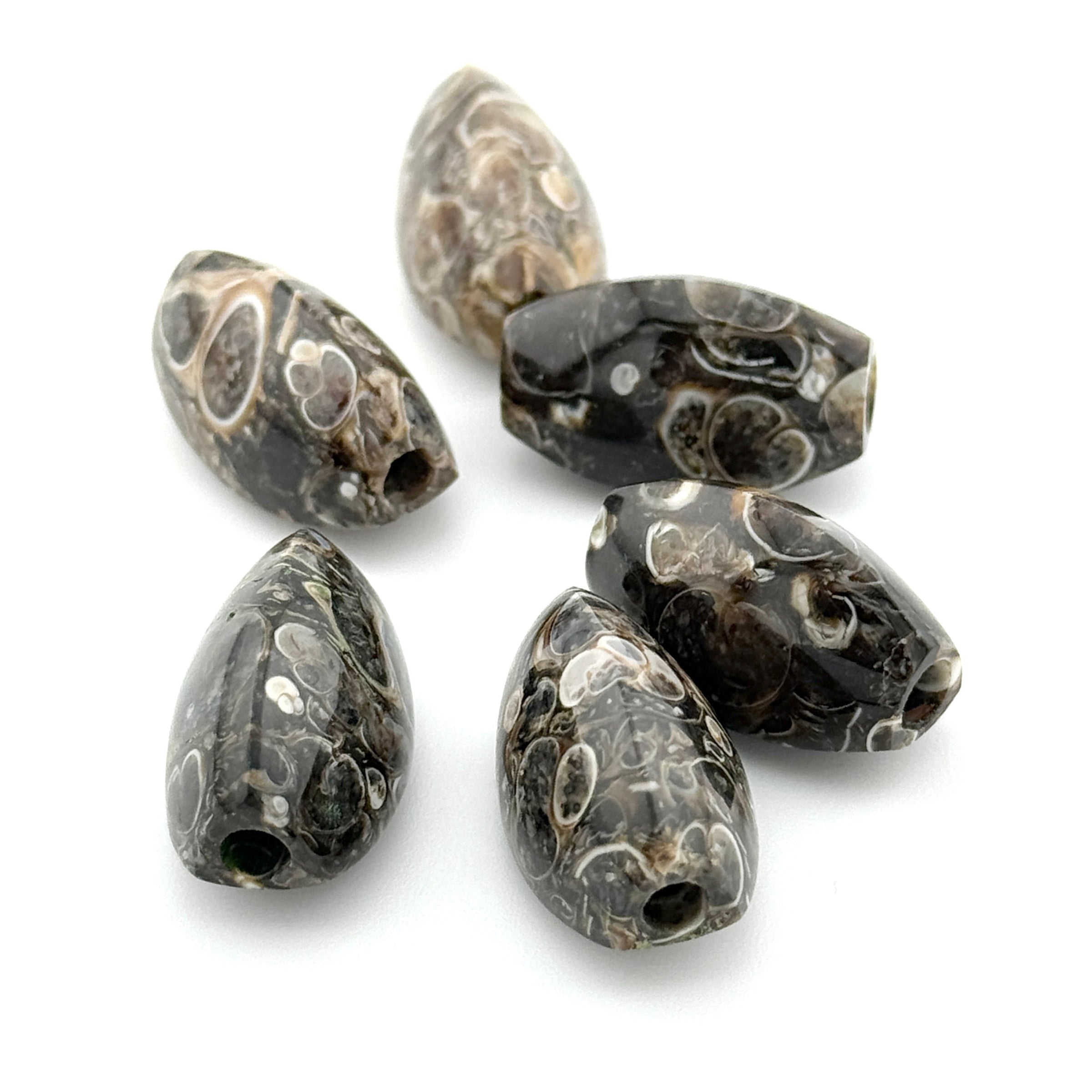 20x12mm Wyoming Turritella Agate Coffee Bean Beads