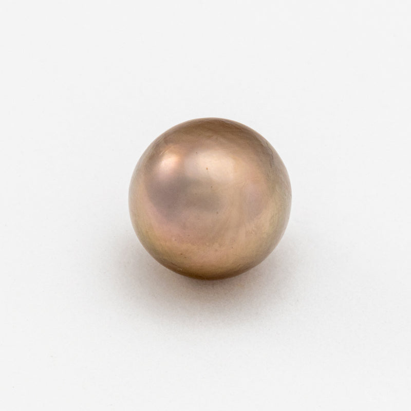 9.9x9.4mm Gem Semi-Round Cortez Pearl®