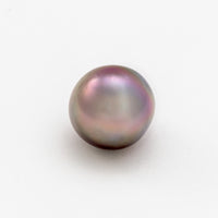 10.6x9mm Gem Semi-Round Cortez Pearl®