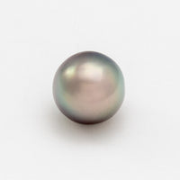 10.9x10.6mm AA Semi-Round Cortez Pearl®