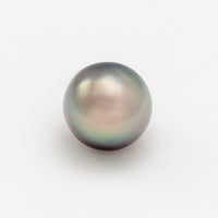 10.9x10.6mm AA Semi-Round Cortez Pearl®