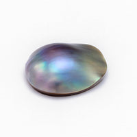 15.5x12mm AAA Mabe Cortez Pearl®