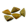 22x15mm Oregon Golden Desert Jasper Elongated Trillion Cabs