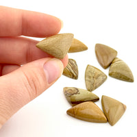 22x15mm Oregon Golden Desert Jasper Elongated Trillion Cabs