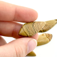 30x13mm Oregon Golden Desert Jasper Teardrop Cabs