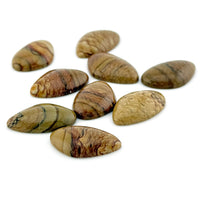 21x13 to 36x23mm Oregon Golden Desert Jasper Asymmetrical Teardrop Cabs