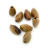 20x12mm Oregon Golden Desert Jasper Coffee Bean Beads