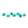 8x6mm to 16x12mm Amelia Teal Amazonite™ Hex Tablets™