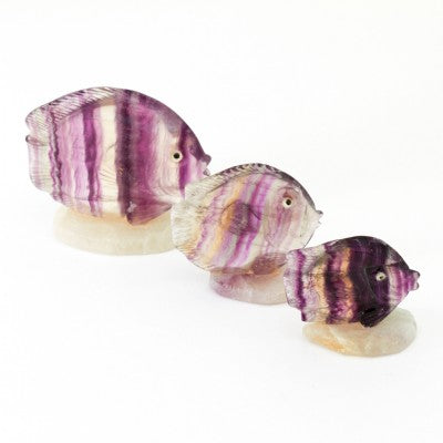 Hand carved natural banded flourite sunfish. These are mounted on a black stone base. Sold one at a time, but each one is a little different in carving and stone pattern. Really beautiful stone gifts.
