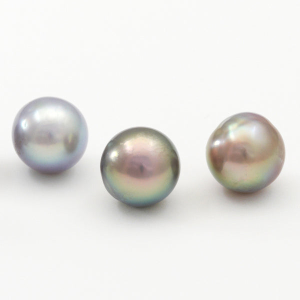 432-309095-GEM_web-S1_grande.
