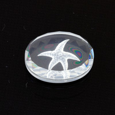 12x10mm Oval Synch Cut White Quartz Starfish Intaglio Carving