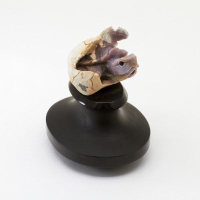 Small Hand Carved Natural Purple Chalcedony Hatching Turtle on Black Stone Base
